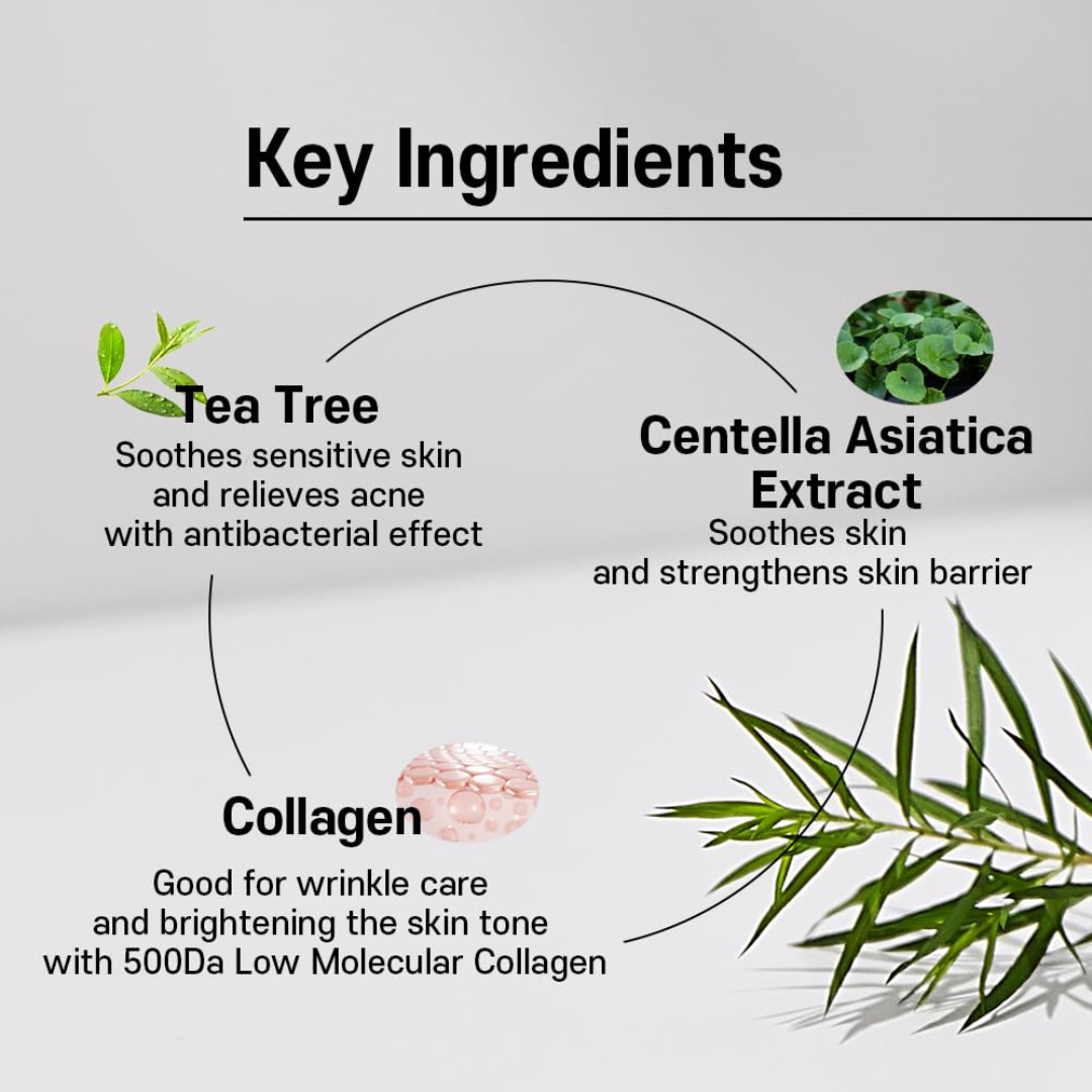 SUNGBOON EDITOR Deep Collagen CICA Teatree Soothing Overnight Mask