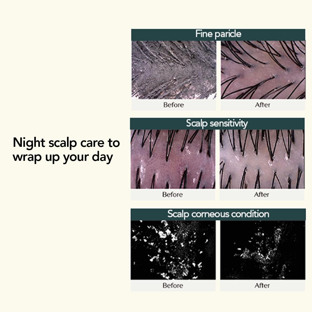 TREECELL Night Collagen Shampoo Midnight Forest